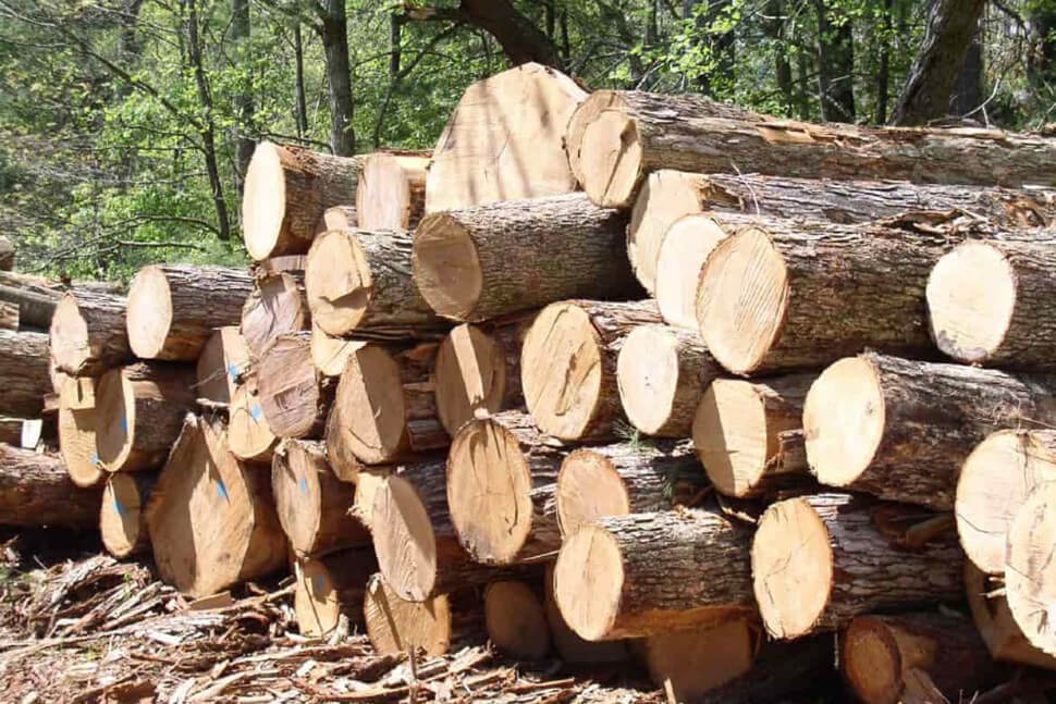 gỗ tự nhiên 