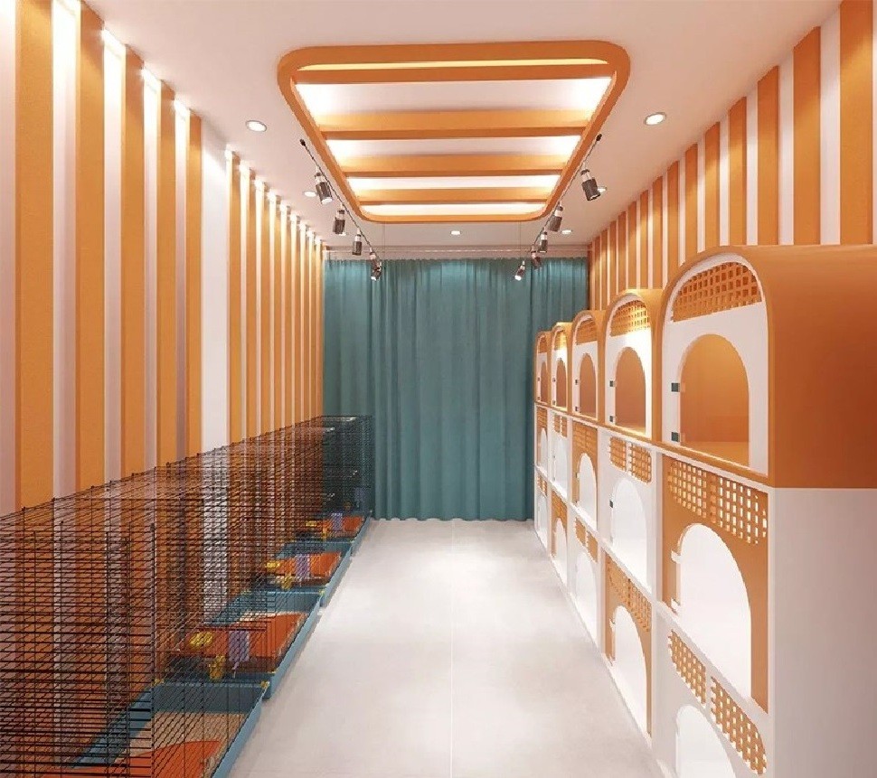 Không gian spa thú cưng được thiết kế đơn giản mà sang trọng, nổi bật với tông màu cam bắt mắt
