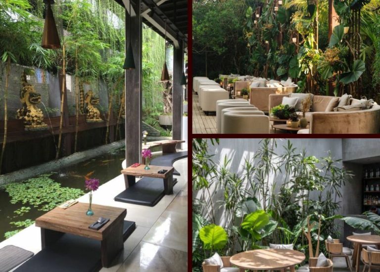 Thiết kế quán cafe sân vườn