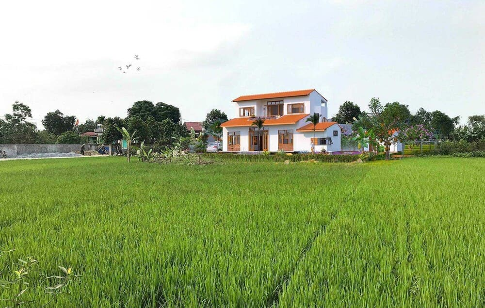 Nền đất ruộng là gì?