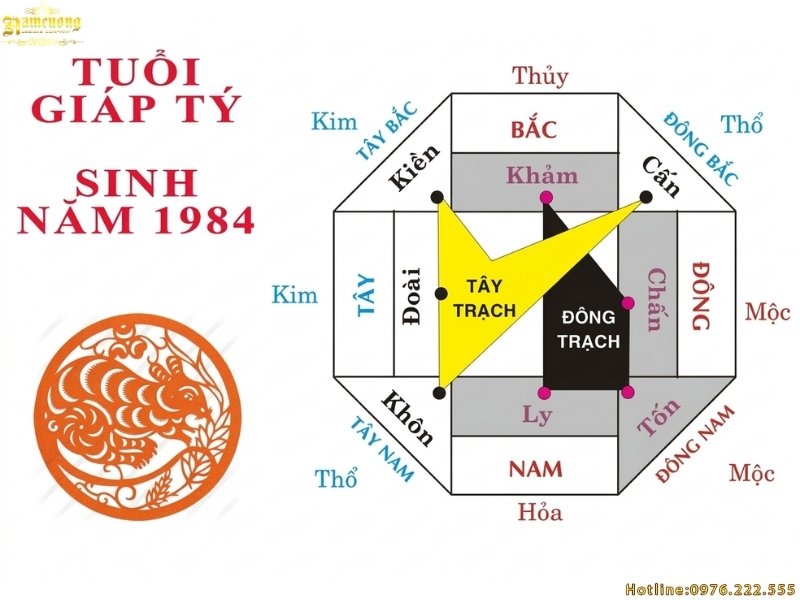 Tuổi Giáp Tý 1984 có nên xây nhà năm 2026 không?